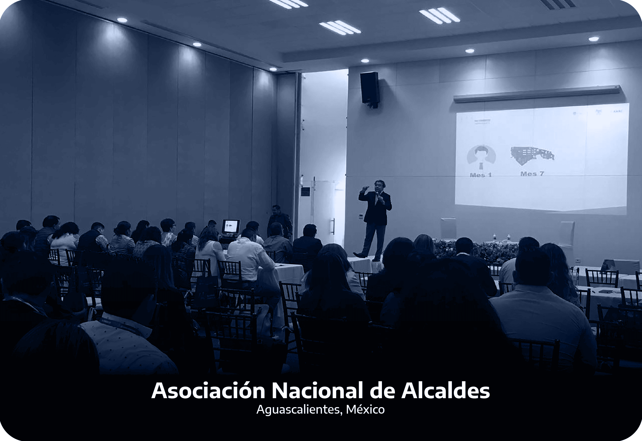 Fotos_linkeadas-14